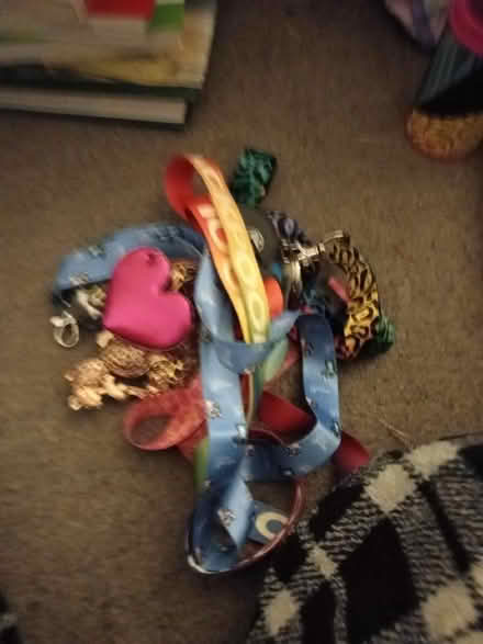 Photo of free Lanyards and keyrings (Goldthorn Hill WV3) #1