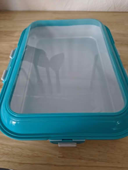 Photo of free Fridge Storage Organisers (Fiveways Brighton) #1