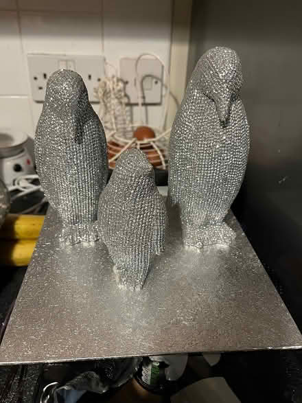 Photo of free Penguins (Ipswich IP2) #1