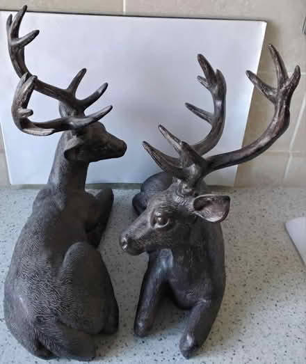 Photo of free Resin Stag Ornaments (DA1) #2
