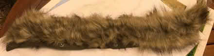 Photo of free Fur trim frm Parker hood. (Blewbury OX11) #1
