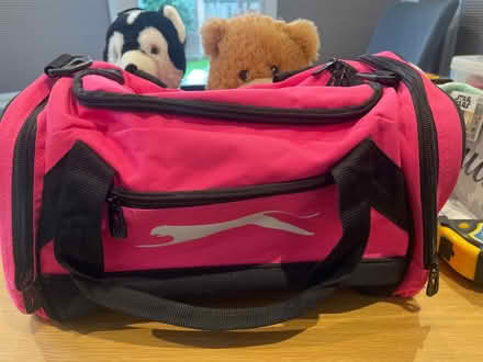 Photo of free Pink Puma holdall (Southwater) #1