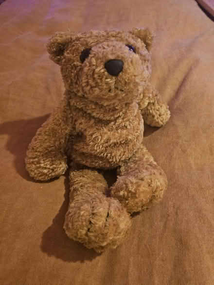 Photo of free Bear with heatable insert (SW17) #1