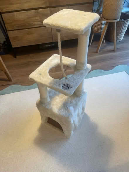 Photo of free Cat tree (Balham, SW12) #3