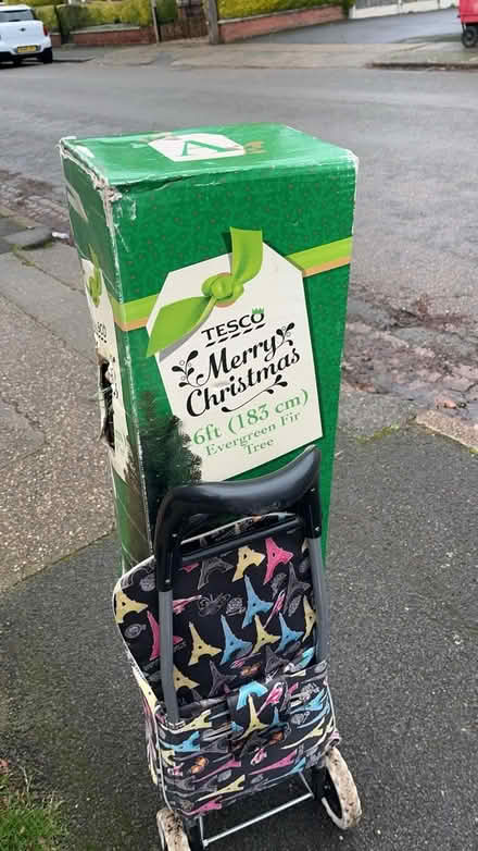 Photo of free Christmas tree 6ft 183cm (Nottingham NG7) #1