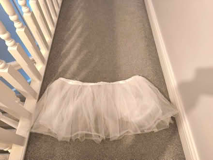 Photo of free Big tutu (Southend SS2) #1