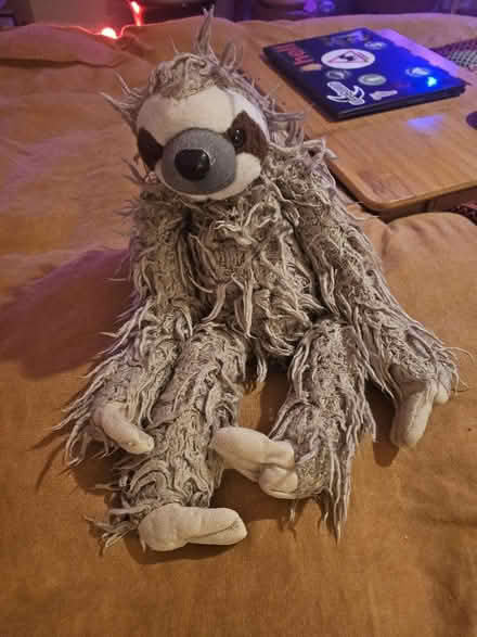 Photo of free Sloth toy (SW17) #1