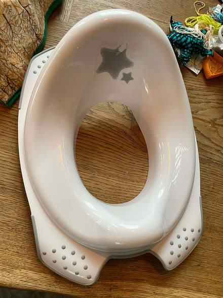 Photo of free Potty Training Toilet seat (Bishop's Castle SY9) #1