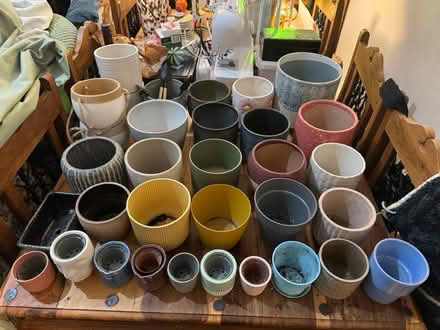 Photo of free Assortment of plant pots (Wallington) #3