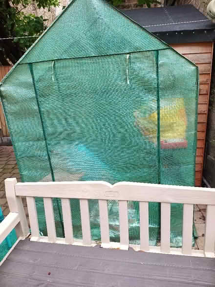 Photo of free Walk In Greenhouse (Bruntsfield EH10) #3
