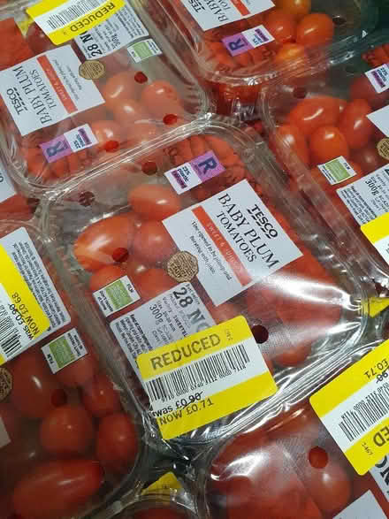 Photo of free Baby plum tomatoes (Enfield EN2) #1