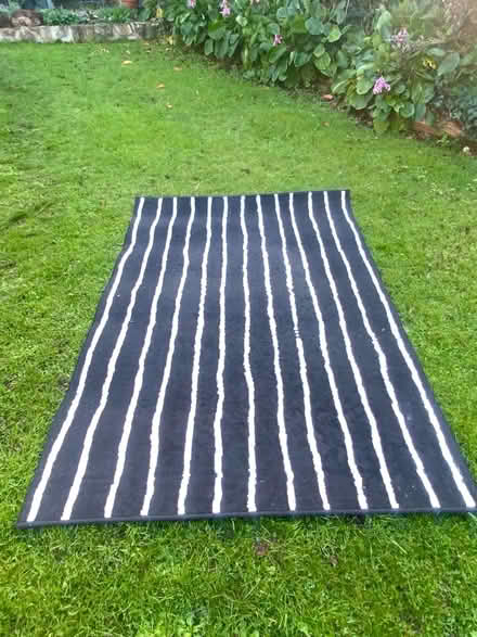 Photo of free IKEA Rug (LL19) #1