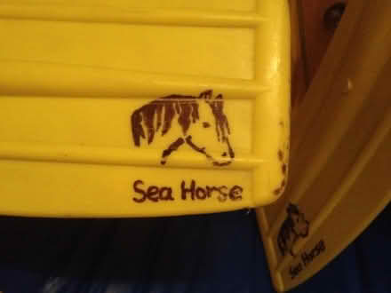 Photo of free Inflatable beach dinghy with oars (Moseley, Birmingham, B13) #4