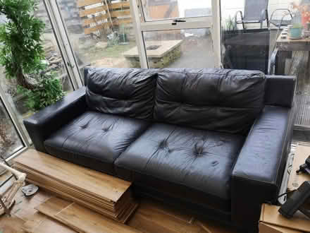 Photo of free Couch (Mold) #1