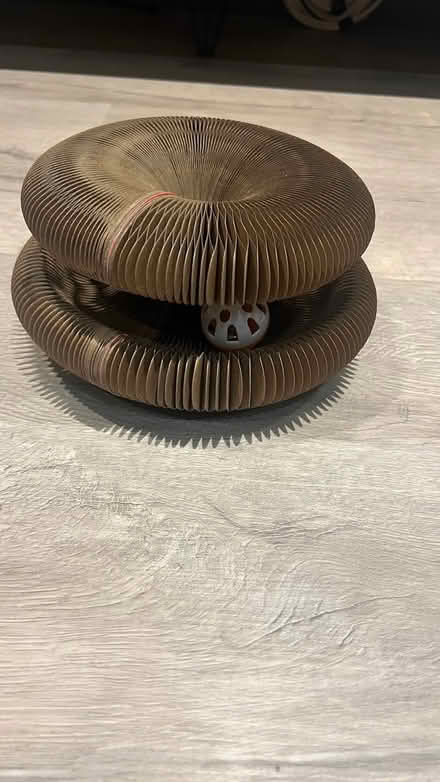 Photo of free Cat toy (West Ham Park E15) #2