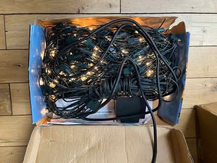 Photo of free Xmas outdoor lights (G46 7JQ) #2