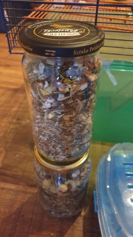 Photo of free Gerbil /small rodent cage (TW7) #2