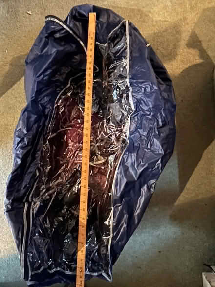 Photo of free Five storage bags (Lindfield RH16) #1