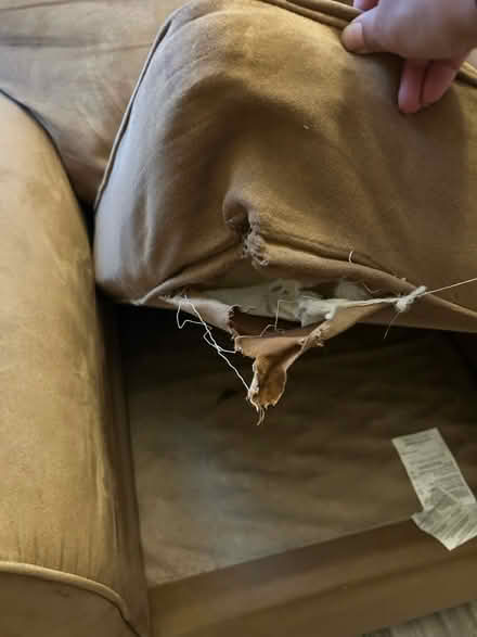 Photo of free Loveseat Sofa (Virginia Beach) #3