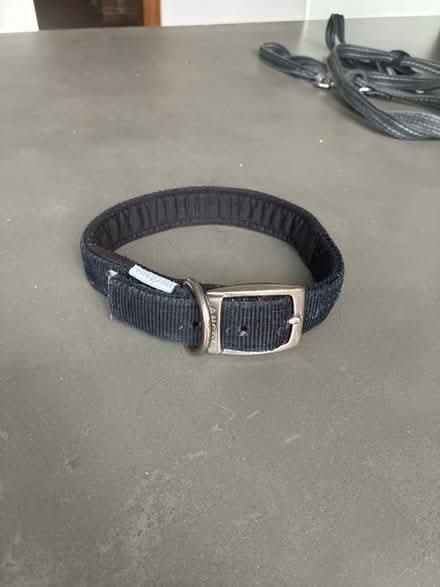 Photo of free Dog Collar (CR2) #1