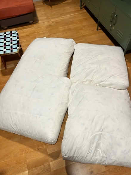 Photo of free Feather sofa cushions inserts (Bow, E3) #1