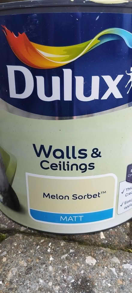 Photo of free Paint, Melon Sorbet Matt finish (Morpeth NE61) #3