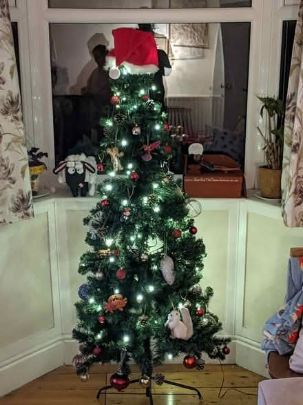 Photo of free Artificial Christmas tree (S10 Crookes) #2