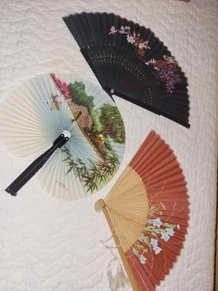 Photo of free Fans (Elmvale Acres) #1