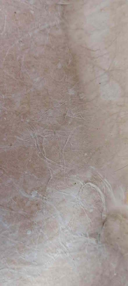 Photo of free flowers in pot artwork (melrose) #2