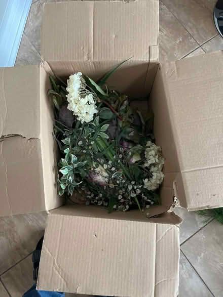 Photo of free Decorative plastic flowers (Baseline & Merivale) #2
