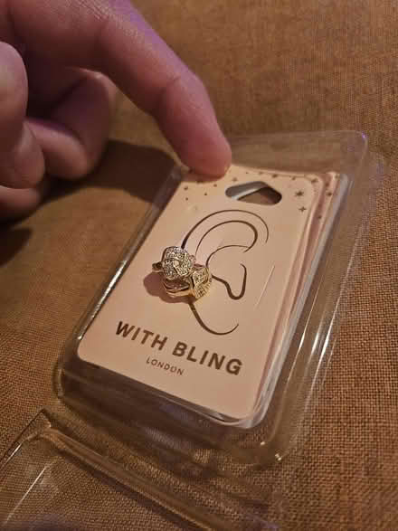 Photo of free Two hoop earrings (SW17) #1