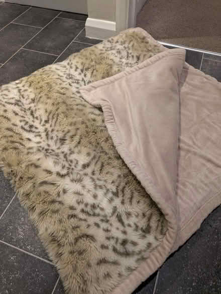 Photo of free Thick blanket (Home PO15) #1