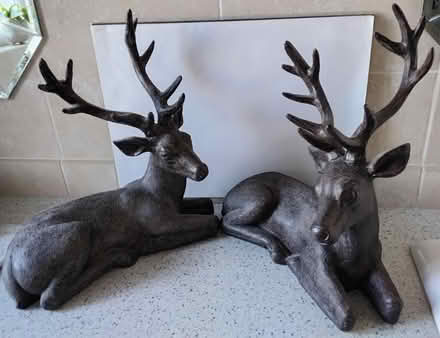 Photo of free Resin Stag Ornaments (DA1) #1