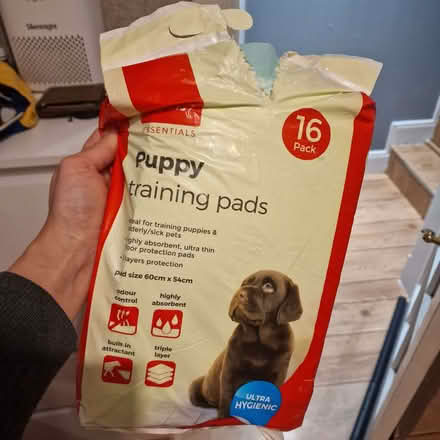 Photo of free Puppy training pads (Alyth PH11) #1