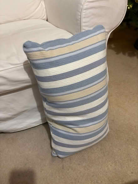 Photo of free Rectangular pillow (Bs15 4ub) #3
