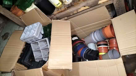 Photo of free Flower pots and seed trays. (Edgiock B96) #3