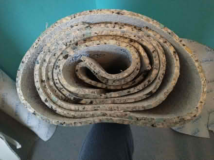 Photo of free Underlay (Lakenham NR1) #3