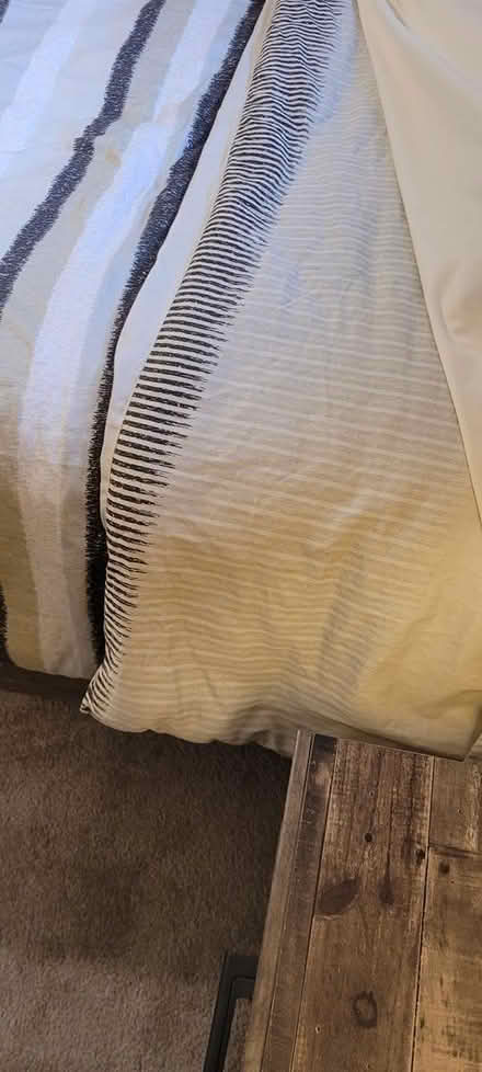 Photo of free Queen Comforter with throw pillow (Pinerow Cres Waterloo) #2