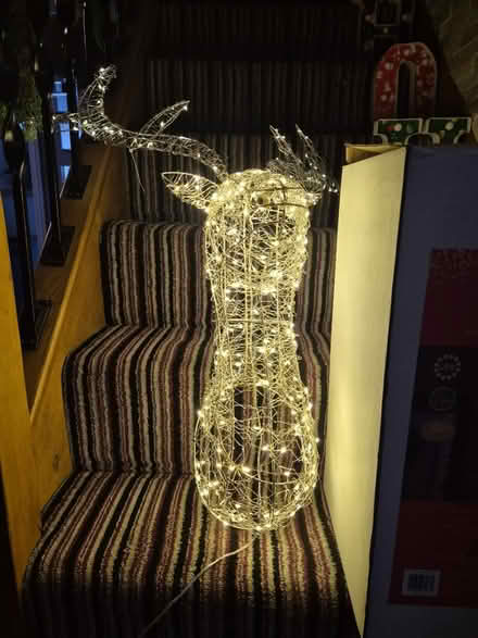 Photo of free Led stag head (Welling DA16) #1