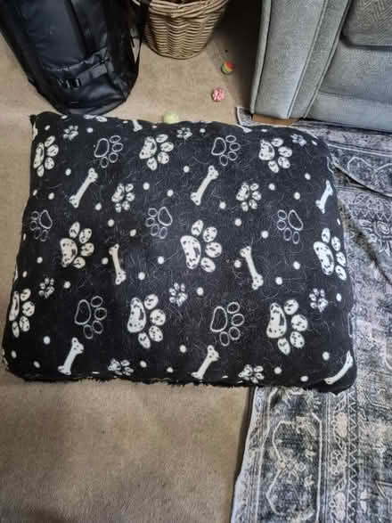 Photo of free Fleece medium dog bed (RG2 Shinfield) #1