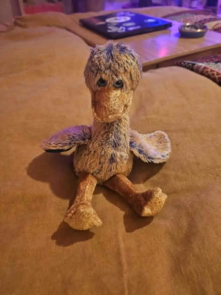 Photo of free Duck toy (SW17) #1