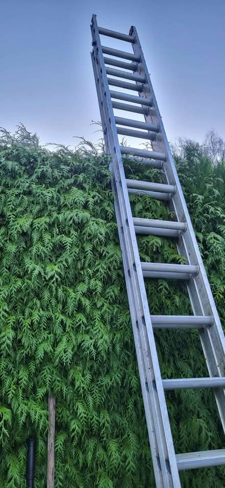 Photo of free Ladder (Cranham Corner GL6) #2