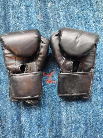 Photo of free Boxing gloves (How Wood AL2) #2