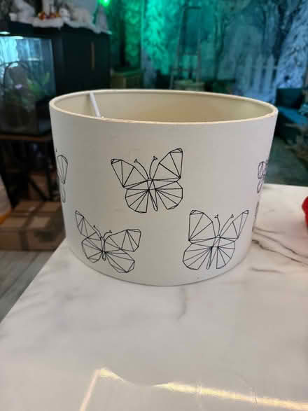 Photo of free Butterfly lampshade (Burham Rochester) #1