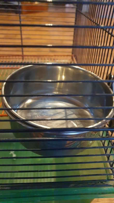 Photo of free Gerbil /small rodent cage (TW7) #3