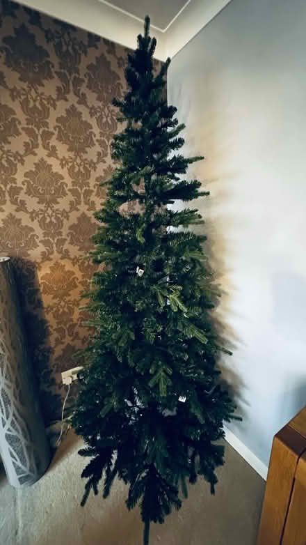 Photo of free Slim 6ft Christmas tree (Wickford/Runwell SS11) #1