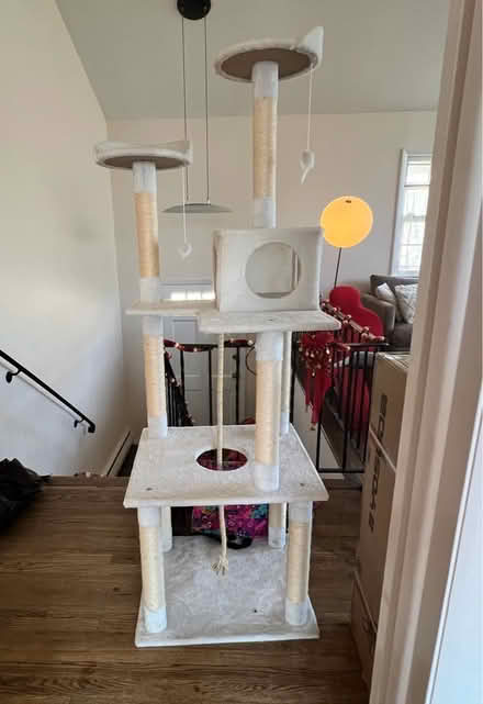 Photo of free Cat tower (N. Stamford) #1