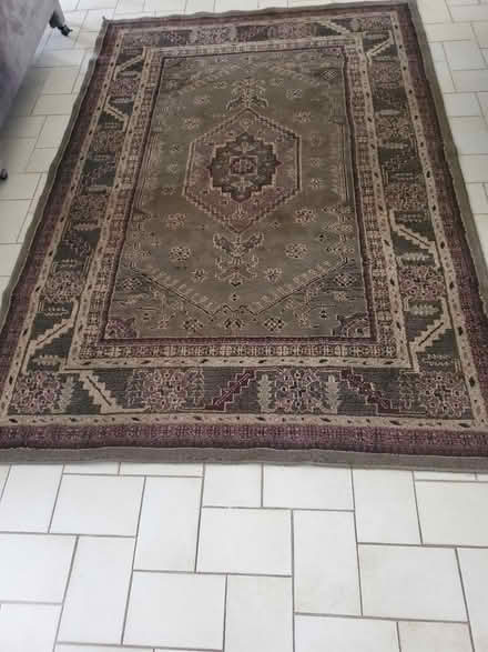 Photo of free 5x8 rug (tamarac) #1
