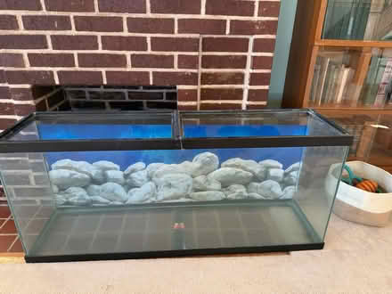 Photo of free 55 gallon tank (Parkville) #1