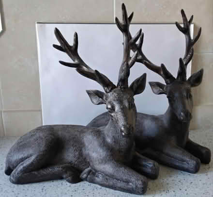 Photo of free Resin Stag Ornaments (DA1) #3